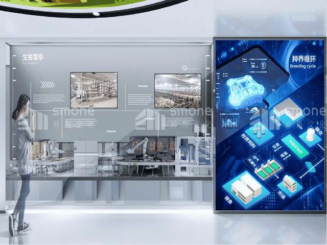 晋江土笋冻现货